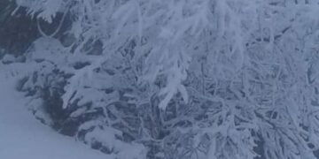 أبرد الشتاءات السورية التي تم توثيقها