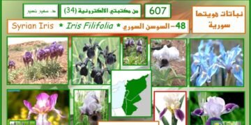 نباتات هويتها سورية
