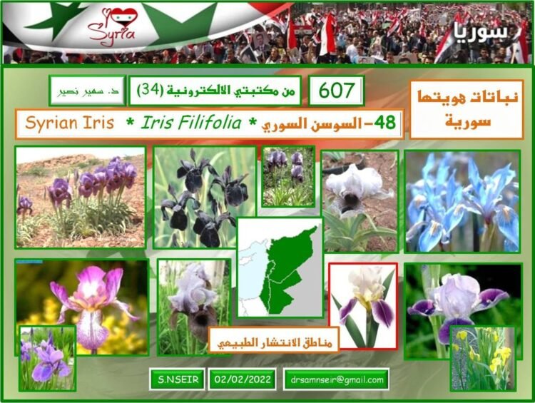نباتات هويتها سورية