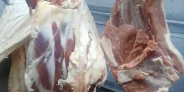 رقابة حلب نشاط وجهود على مدار الساعة ..