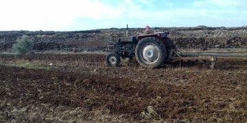 مجلس بلدية مجادل يباشر بمشروع استثماري زراعي للقمح المروي.