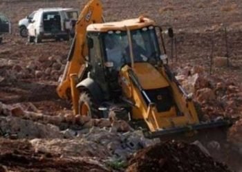 مستوطنون يجرفون أراضي للفلسطينيين بالأغوار الشمالية وجنوب الخليل