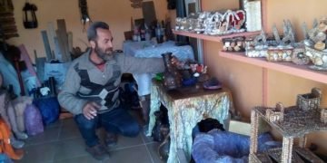 جولة في عالم الجمال والفن