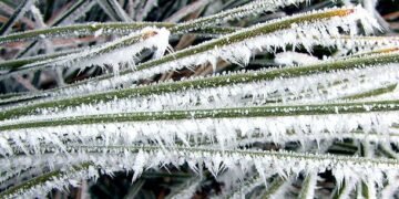 النشرة الجوية