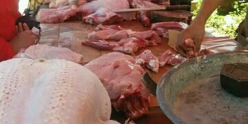 الغش على المكشوف .. فلا رقابة ومحاسبة عليهم ..؟؟!!