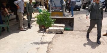 نريد حلب جميلة . .