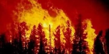 تراتيل الاحتراق: