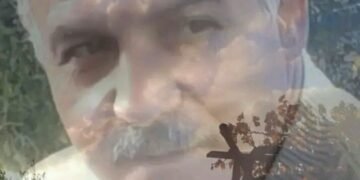 نَـصٌّ من الشعـور ..