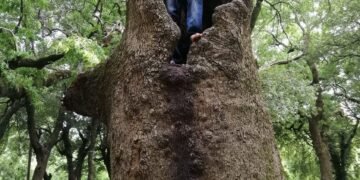 نزلْ المطرْ …