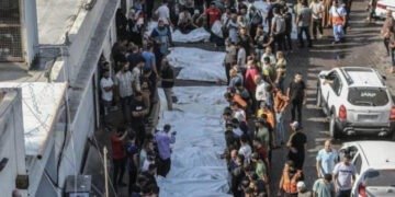 د.نعمه العبادي:حديث عن حرب غزة وشؤون اخرى بالقلم العريض..