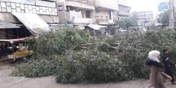 سقوط شجرة كينا فوق تكسي في منطقة المسير بحلب .. !!