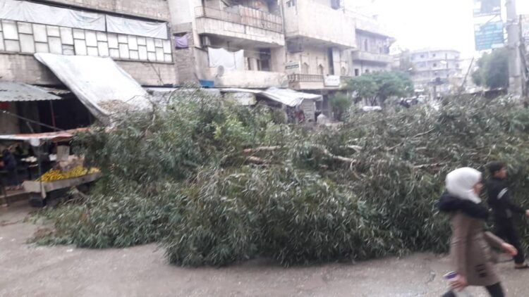 سقوط شجرة كينا فوق تكسي في منطقة المسير بحلب .. !!