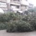 سقوط شجرة كينا فوق تكسي في منطقة المسير بحلب .. !!