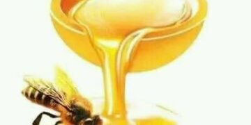 مهرجان العسل القادم سيتغيب عنه أهم المشاركين