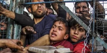 عندما يُخرس المال الصوت الإنساني: علاقة كاثرين راسل بجرائم غزة  